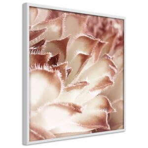 Bimago Tablou înrămat - Floral Calyx Cadru alb 20x20 cm
