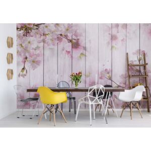 Fototapet - Vintage Chic Cherry Blossom Flowers Wood Planks Pink Vliesová tapeta - 254x184 cm