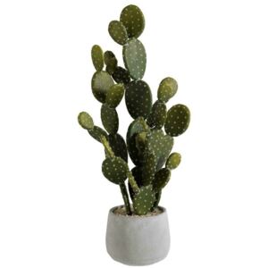 Dana Ghiveci cu Cactus, Ciment, Gri