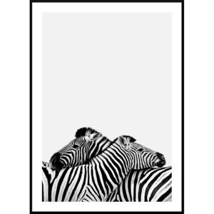 Tablou plains zebra
