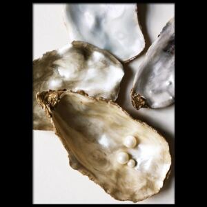 Tablou oyster shells