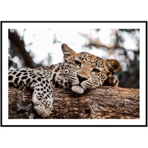Tablou african leopard