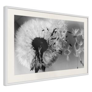 Bimago Tablou înrămat - Dandelion in the Wind Cadru alb cu passe-partout 60x40 cm