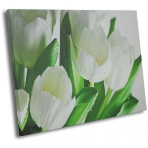 CARO Tablou pe pânză - White Tulips 40x30 cm