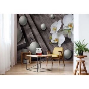 Fototapet - Adult Mural Wallpaper Modern Modern Flowers, Nature, and Swirls Vliesová tapeta - 254x184 cm