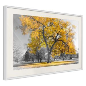 Bimago Tablou înrămat - Golden Tree Cadru alb cu passe-partout 60x40 cm