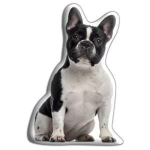 Pernă Adorable Cushions Bulldog francez