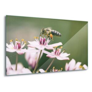 Tablou pe sticlă - Busy Bee 100x75 cm