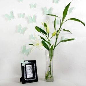 Set 12 autocolante cu efect 3D Ambiance Butterflies, verde