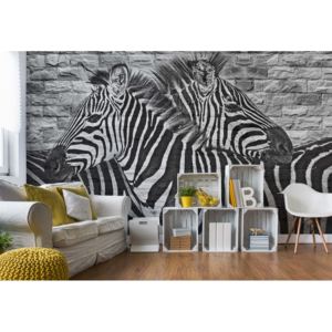 Fototapet - Brick Wall Zebras Vliesová tapeta - 250x104 cm