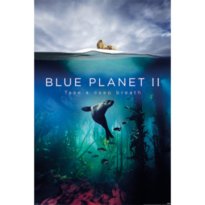 Blue Planet 2 - Take A Deep Breath Poster, (61 x 91,5 cm)