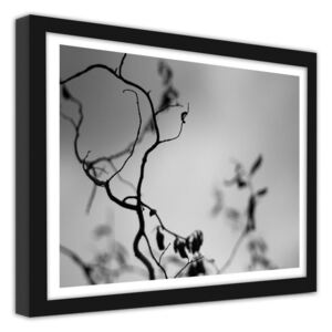 CARO Imagine în cadru - Twig On A Gray Background 40x30 cm Negru