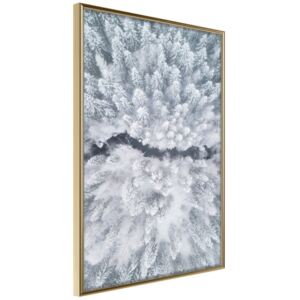 Bimago Tablou înrămat - Winter Forest From a Bird's Eye View Cadru auriu 30x45 cm