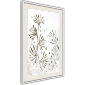 Bimago Tablou înrămat - Dried Plants Cadru alb cu passe-partout 40x60 cm