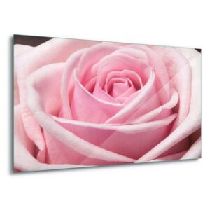 Tablou pe sticlă - The Sensual Rose 4 x 30x80 cm