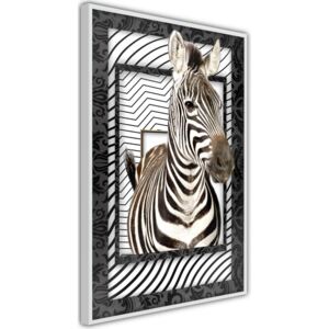 Bimago Tablou înrămat - Zebra in the Frame Cadru alb 40x60 cm