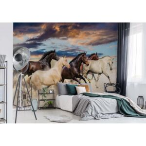 Fototapet - Galloping Horses Vliesová tapeta - 254x184 cm