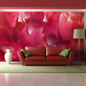 Fototapet Bimago - Pink Petals Of Roses + Adeziv gratuit 200x154 cm