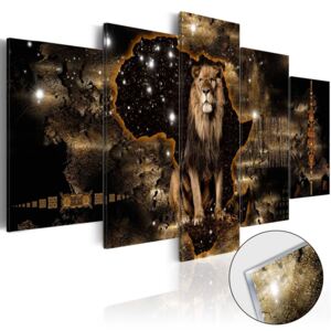 Bimago Imagine pe sticlă acrilică - Golden Lion 100x50 cm