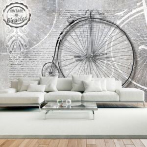 Fototapet - Vintage bicycles - black and white 400x280 cm