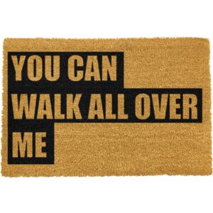 Covor intrare Artsy Doormats Walk All Over Me, 40 x 60 cm