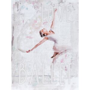 Tablou pe pânză - Ballerina 5, 30x40 cm