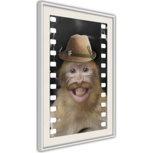 Bimago Tablou înrămat - Dressed Up Monkey Cadru alb cu passe-partout 40x60 cm