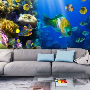 Fototapet - Underwater paradise 400x309 cm
