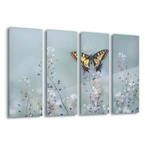 Tablou pe sticlă - Swallowtail Beauty by Petar Sabol 4 x 30x80 cm