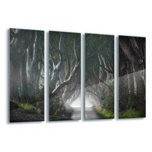 Tablou pe sticlă - Dark Hedges by Nicola Molteni 4 x 30x80 cm