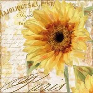 Servetele Sunflower 33x33 cm