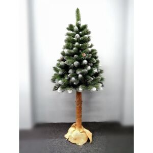 Pom de Crăciun pin pe o buturugă în verde Înălţime: 180 cm