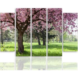 CARO Tablou pe pânză - Flowering Tree 100x70 cm