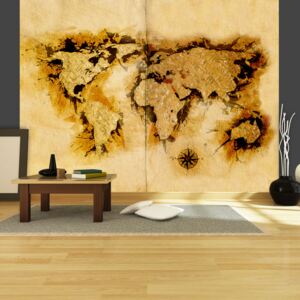 Fototapet - Gold-diggers' map of the World 350x270 cm