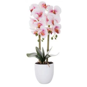 Aranjament Floral Orhidee Artificiala in Ghiveci cu 2 Tulpini, Aspect Natural, inaltime 55cm, Culoare Roz/alb