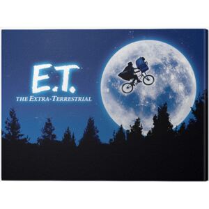 ET - Quad Tablou Canvas, (60 x 80 cm)