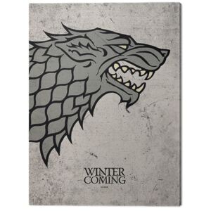 Game Of Thrones - Stark Tablou Canvas, (30 x 40 cm)