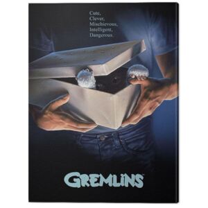 Gremlins - One Sheet Gizmo Tablou Canvas, (60 x 80 cm)