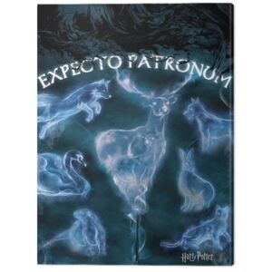 Harry Potter - Patronus Tablou Canvas, (60 x 80 cm)