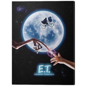 ET - One Sheet Tablou Canvas, (60 x 80 cm)
