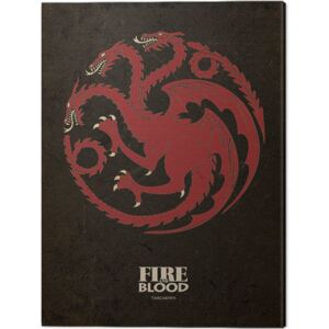 Game Of Thrones - Targaryen Tablou Canvas, (30 x 40 cm)