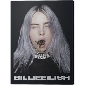 Billie Eilish - Spider Tablou Canvas, (30 x 40 cm)