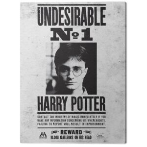 Harry Potter - Undesirable No.1 Tablou Canvas, (60 x 80 cm)