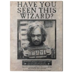 Harry Potter - Wanted Sirius Black Tablou Canvas, (60 x 80 cm)