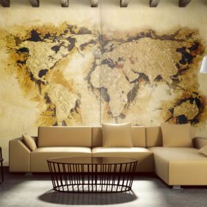 Fototapet - Gold-diggers' map of the World 450x270 cm