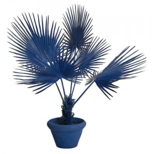 Planta artificiala albastra cu ghiveci din lut si plastic 169 cm Palm Pols Potten
