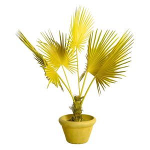 Planta artificiala galbena cu ghiveci din lut si plastic 169 cm Palm Pols Potten