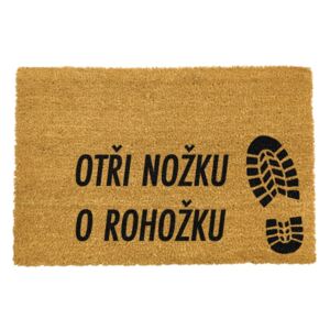 Covoraș intrare din fibre de cocos Artsy Doormats Otri Nozku, 40 x 60 cm
