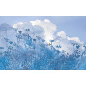 Komar Fototapet - Blue Sky 400x250 cm
