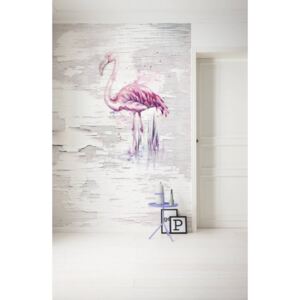 Komar Fototapet - Pink Flamingo 200x250 cm